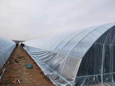 China High Quality Glass Winter Efficient Multi-span OEM Wholesale Solar Greenhouse for sale