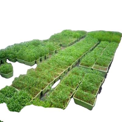 China Other Hydroponic Systems Commercial Hydroponics Hydroponics System Gardening Systems For Sale for sale