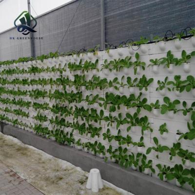 China Other Lettuce Channel Hydroponic System Low Cost NFT Hydroponic Systems For Sale for sale