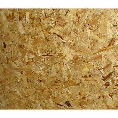 China indoor construction osb for sale