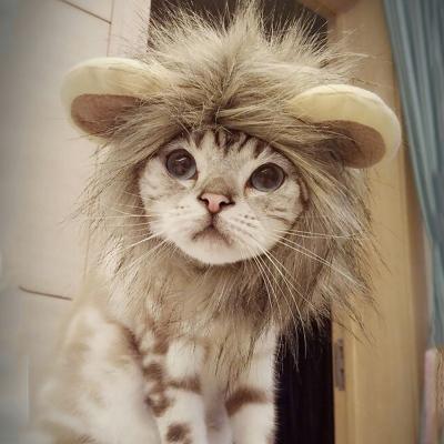 China Funny Novelty Design New Pet Supplies Novelty Rayon Lion Headgear Pet Cat Hat for sale