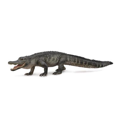 China Wild Animal Models American Alligator Mississippiensis Crocodile Classic Toys For Boys Children Animal Model 88609 for sale