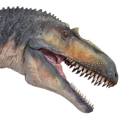 China Safety Torvosaurus Eco-friendly Dinosaurs Figure Prehistoric Animal Model Dino Classic Toys For Boys for sale