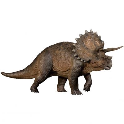 China Triceratops Lance Dinosaurs Prehistoric Animal Model Heavy Toy Original Color 171612 by Nanmu from 1:35 for sale