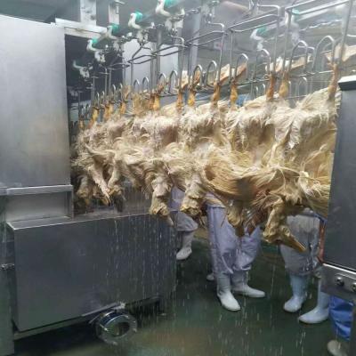 China POULTRY poultry chicken duck processing line slaughterhouse equipment for sale for sale