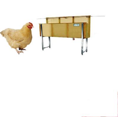 China Save Cost Electric Poultry Chicken Chicken Machine Slaughterhouse Equipment for sale