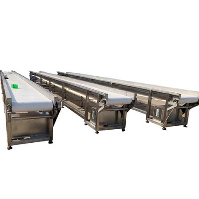 China Poultry Chicken Slaughtering Fire Resistant Conveyor for sale