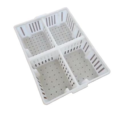 China POULTRY Baby Chick Transport Crate for sale