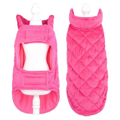 China Viable Cute High Quality Private Label Plain Girl Clothing Jacket Winter Big Dog Clothes 2022 for sale