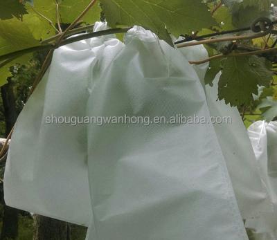 China Anti-bacteria UV Treatment Non Woven Fabric Banana And Grape Fruit Bag for sale