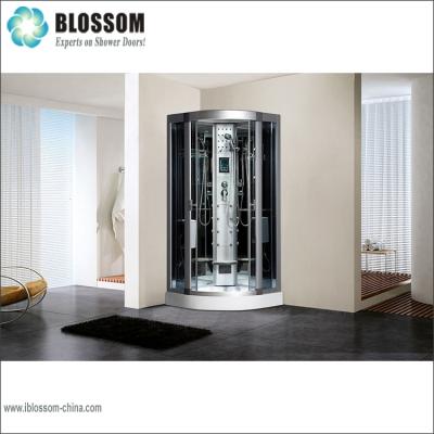 China With Sight Home Shower Room Hotel Steam Shower Enclosure Wet Price for sale