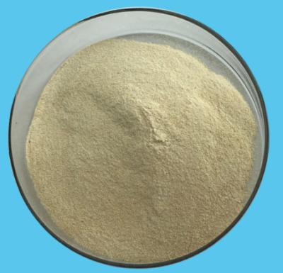 China CAS 9000-70-8 Stabilizing Agent PH6.5 Halal Gelatin Powder for sale