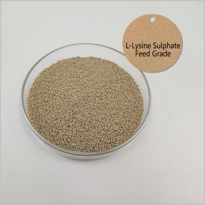 China De Lysinesulfaat van de voerrang 0.61g/Cm3 L, CAS 657-27-2 Zuivere Aminozuren Te koop