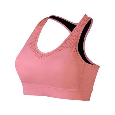 China Nylon/Cotton Shockproof Sports Underwear Women's Running Yoga Fitness Bra Gathered And Shaped Big for sale