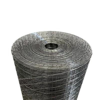 China Welded Plain Weave Wire Mesh Hot Dip Galvanized Iron Wire Mesh Anti Rust Livestock Industry Mesh For Chicken Cage for sale