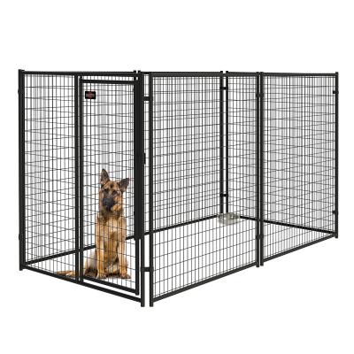 China Plain Weave Welded Animal Wire Mesh Cage Animal Traps Anping WIRE MESH 1/2 Inch Hole Iron Wire Mesh for sale