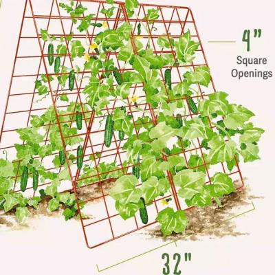 China Easily Assembled Outdoor Climbing Plants , A-Frame Cucumber Trellis Grow Support For Beans Tomato Vegetables Flowers for sale