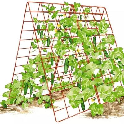 China Easily Assembled Large Cucumber Trellis Metal Iron Welded Panels A-Frame Garden Plant Trellis for sale