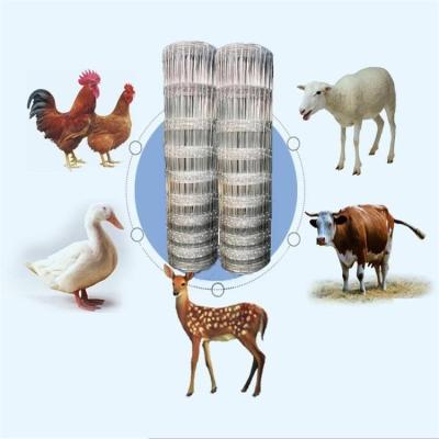 China Sale Galvanized Fence / Fence Hot Farm Sheep Wire Mesh Yard Fence for sale