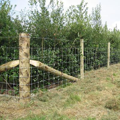 China ECO FRIENDLY Cheap 4 Ft 5 Ft Goat Fencing Galvanized Farm Field Wire Mesh Livestock Fence Price for sale