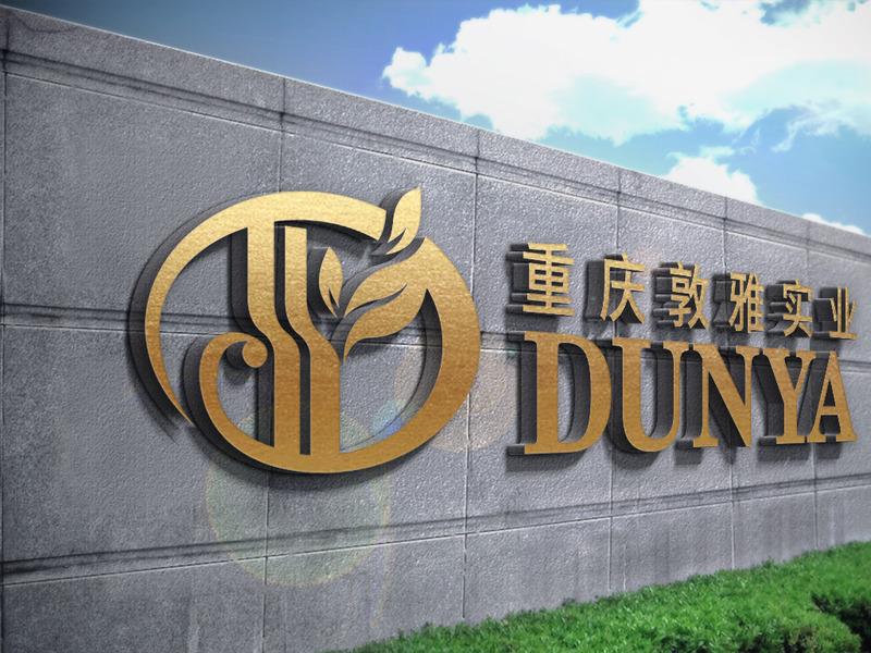 Verified China supplier - Chongqing Dunya Industrial Co., Ltd.