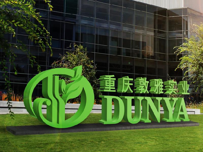 Verified China supplier - Chongqing Dunya Industrial Co., Ltd.