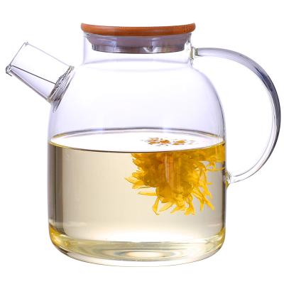 China Sustainable Design High Borosilicate Fashion Coffee Heat Resistant Glass Teapot for sale