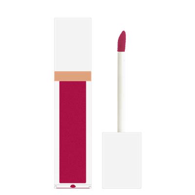 China Sunscreen Own Brand OEM White Square Tube Lip Gloss Lip Gloss Matte Velvet Liquid Ten-color Lipstick Student Makeup for sale