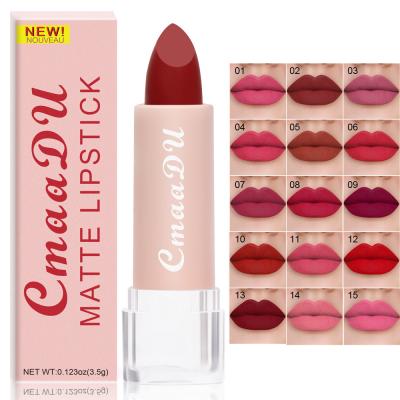 China Brand New OEM Lipstick 15 Colors Lip Gloss 2021 Matte Clean Sunscreen Moisturizing Waterproof Matte Lipstick Lip Gloss Makeup for sale