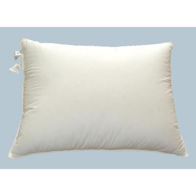 China 100%Cotton Color Viable High Quality Simple Exquisite Workmanship Pillow Case Standard Standard for sale