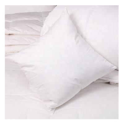 China Sustainable Wholesale Natual Healthy Duck Goose Feather Filling 100% Cotton Fabric 22x22 Pillow Insert for sale