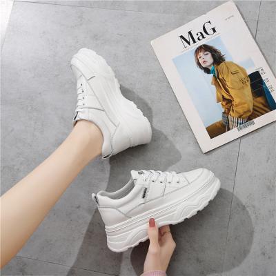 China Latest Fashion Trend New Arrival Design White Wild Board Casual Shoes Branded for sale