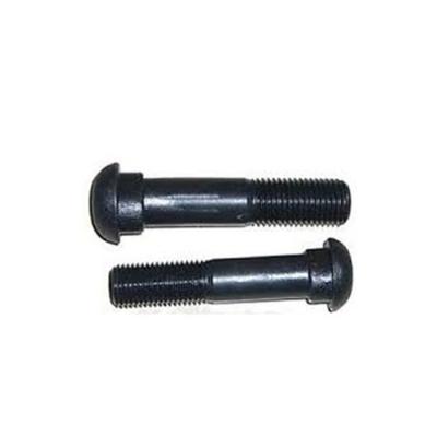 China Best Selling Products Stainless Steel Custom Rail Bolts High Strength Track Bolts Fishtails Bolts for sale