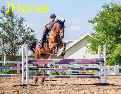 China Durable Popular Portable Horse Jump Holes Aluminum Frame Custom Serving 3.5m, 12ft, Round Wooden Poles for sale