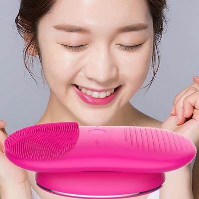 China Double-Sided Pore Cleaner Mini Facial Cleansing Brush with Ultrasonic Technology for sale