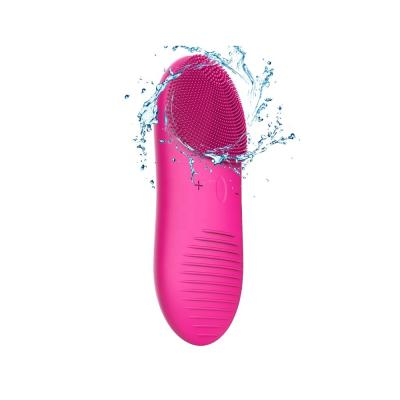 China Waterproof 2023 Portable Exfoliator Facial Cleansing Brush for Home Office and Travel for sale