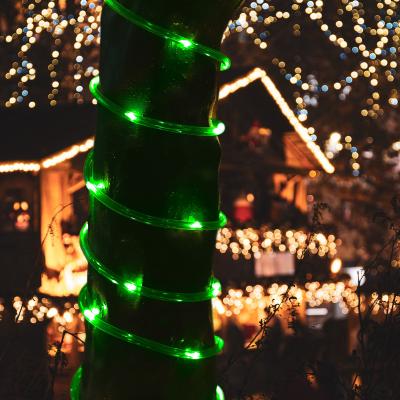 China Outdoor Rope Patio Wall Light Ip68 Color Changing RGB Rope Light LED Fairy Christmas Light Up Dress Up Dress With Great Price for sale