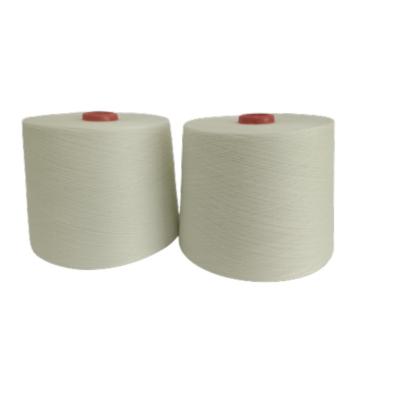 China Sustainable Factory fansionable high tenacity 100% polyester white yarn for sale