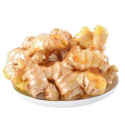 China Wholesale Fresh High Quality Organic Natural Fresh Ginger for sale