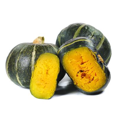 China Fresh Sell The Organic With High Nutritional Value Great Vegetable Fresh Pumpkins For Sale for sale