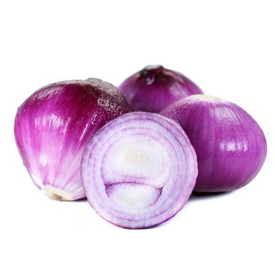 China Fresh Sale Rich Food Grown In China Bulk Nutritious Export Fresh Red Onions for sale