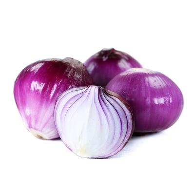 China High quality fresh selling developed in China around large fresh onions for sale