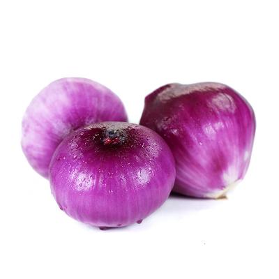 China Fresh and organic fresh sale in large quantity vegetable around onion red for sale