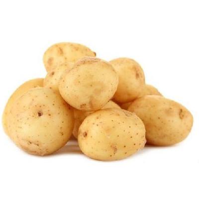 China Wholesale Fresh High Quality Natural Bulk Organic Fresh Potato for sale