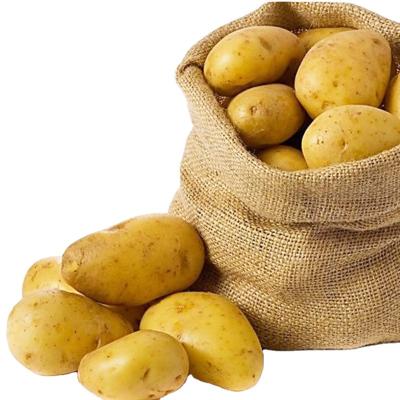 China Bulk Organic Fresh Sale The High Quality Cheap Bulk Fresh Potato for sale