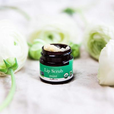 China Private Label Logo Mint Sugar Lip Exfoliator Custom Exfoliator Moisturizing Vegan Natural Organic Green Lip Scrub for sale