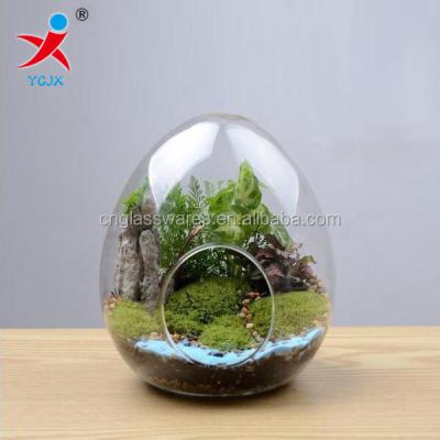 China Decorative Mini Egg Shape Glass Greenhouse Decorative Mini Greenhouse For Plant/Indoor Pyrex Glass Mini Greenhouse for sale