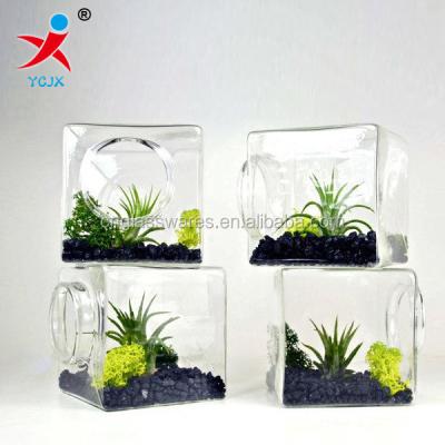 China New design minimalist square glass jar mini greenhouse for plant for sale