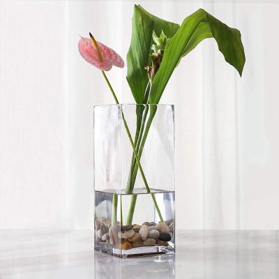 China Wholesale Viable Decoration Clear Glass Tabletop Festival Vase Cylinder Glass Vase for sale