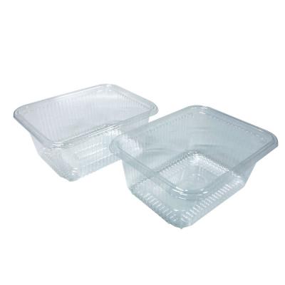 China Aanpasbare PET cake box insert tray Blister verpakking voor bakkerijen Fruit groenten Te koop